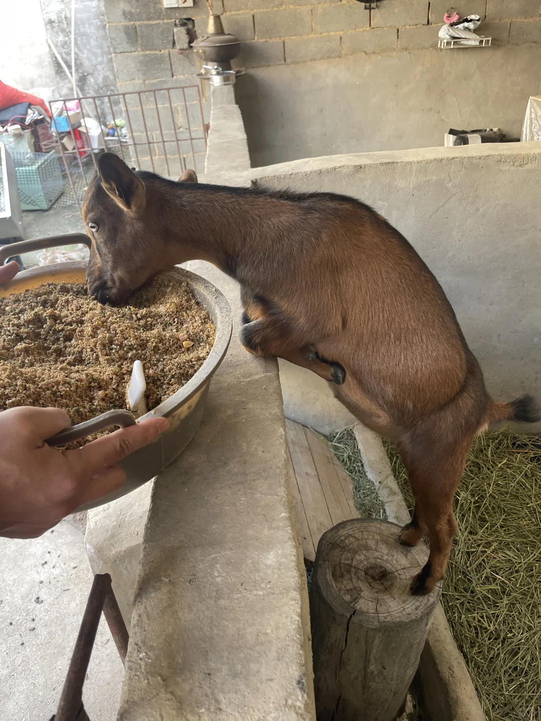 �Һ��ҵ�С����»��ڼ���