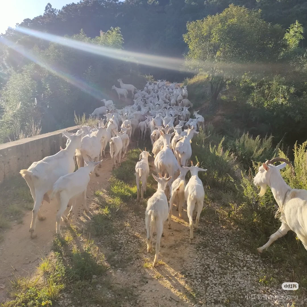 ??�ܾ�Ȧ��??�ܾ����أ�