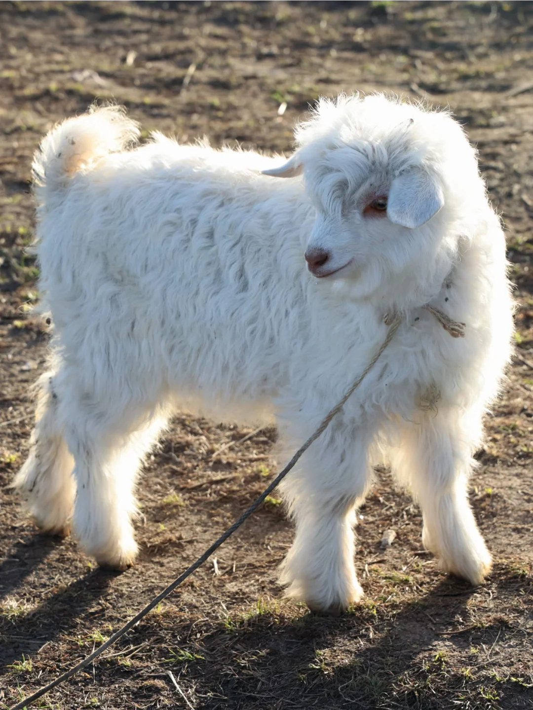 �߿���;��һ��Ҫͣ�³�ȥ��С�򰡣�?