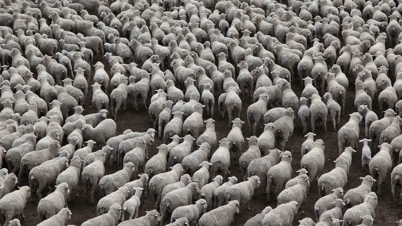 Ӳ���򣺲����������ŵ�򣨸�β��