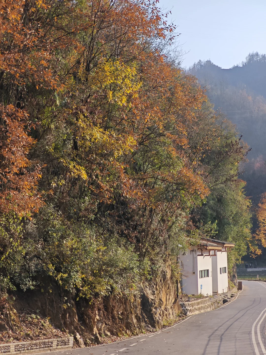 �� ����������������24Сʱ