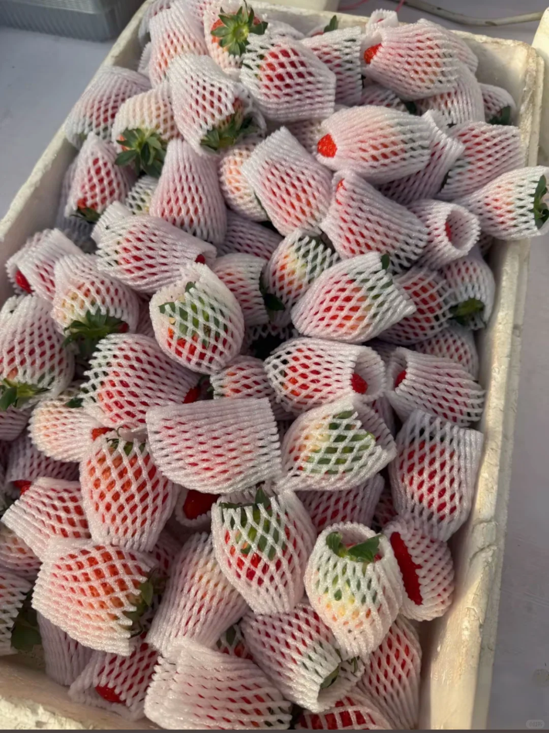 ������������֮�ó԰��ұ�������