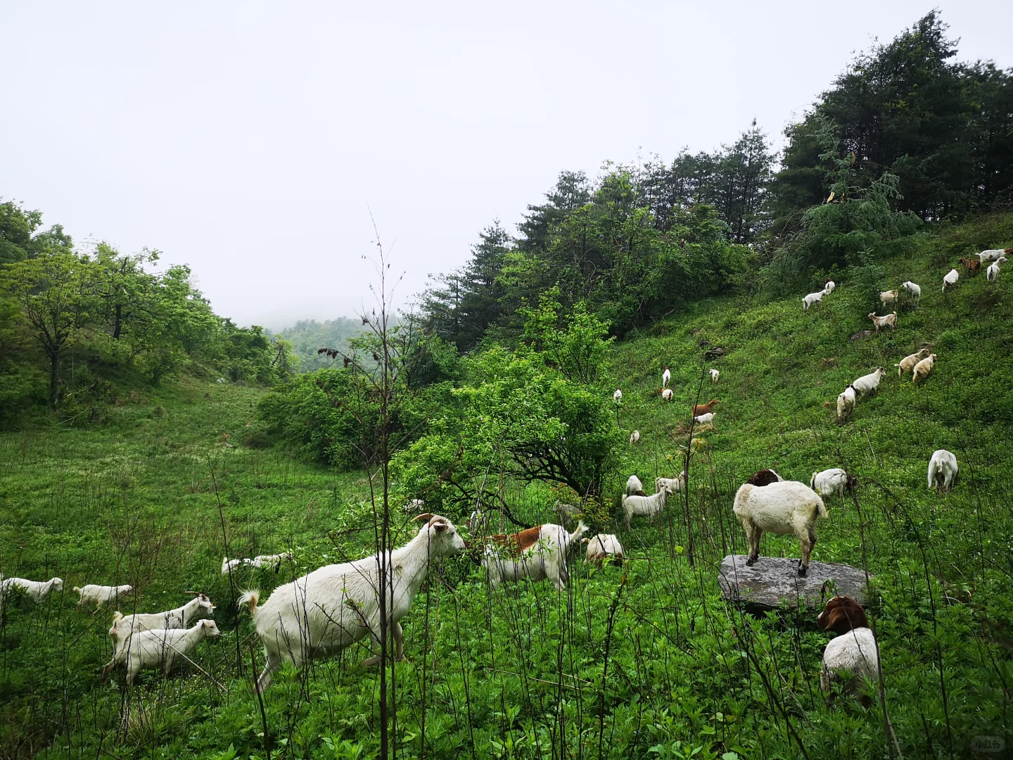 ��û����Ҫ������ɽ��ģ�ȫ�����