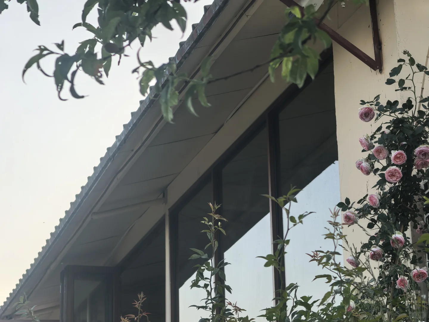 ��������Ҿ͸���