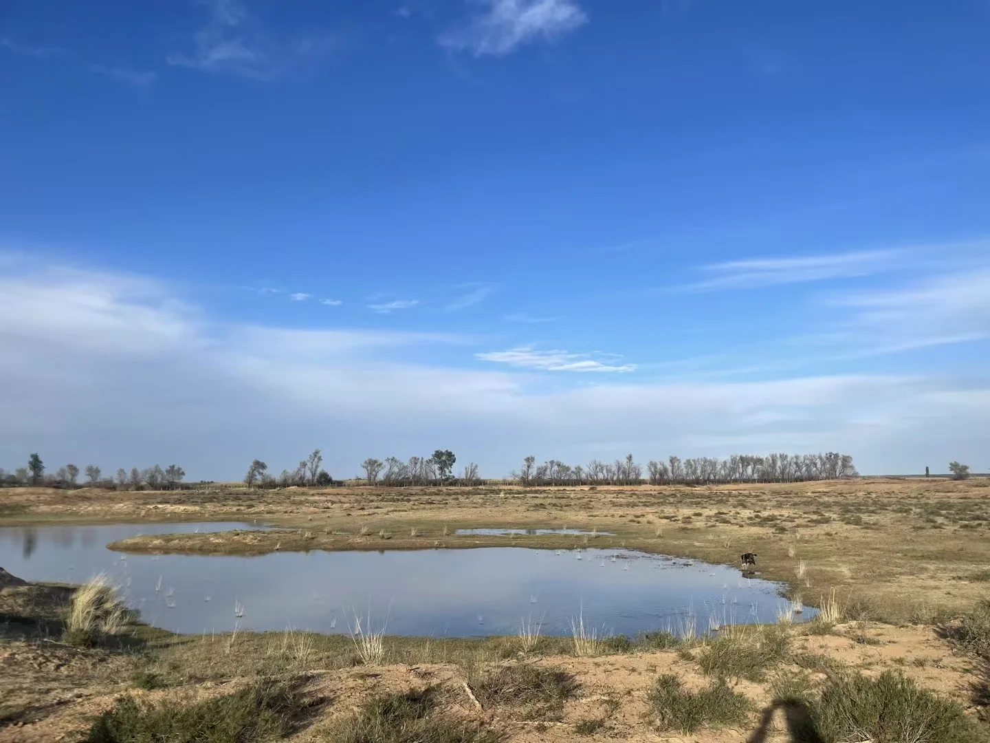 ����?������������������ȥ�ˣ������