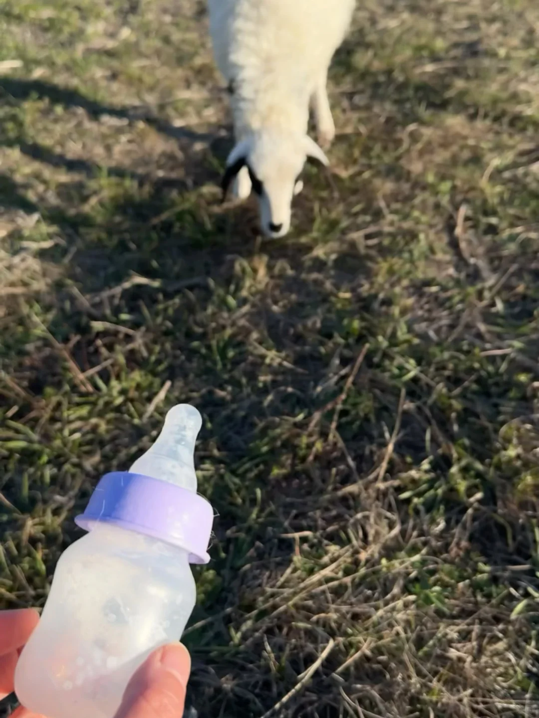 �߿���;��һ��Ҫͣ�³�ȥ��С�򰡣�?