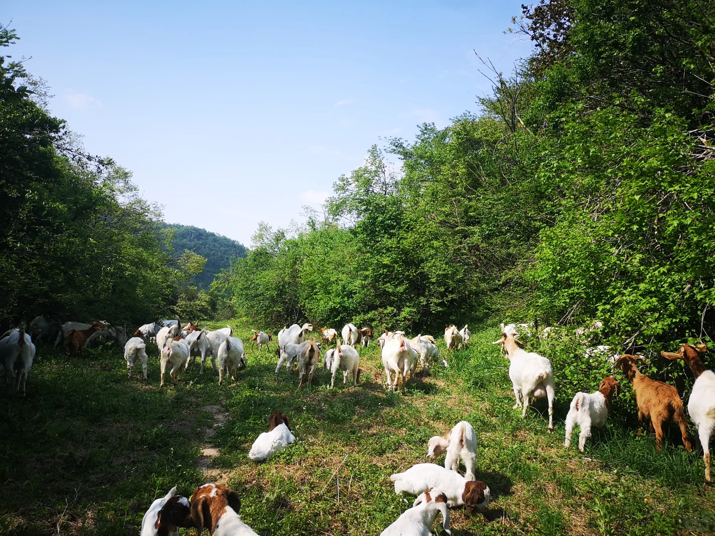 ��û����Ҫ������ɽ��ģ�ȫ�����