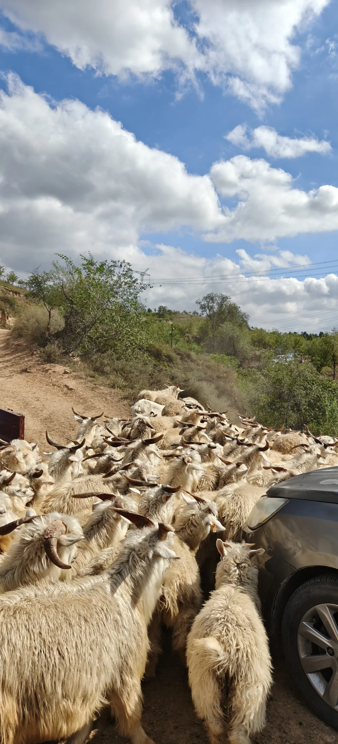 ����һ�����ֵ���ɽ��~