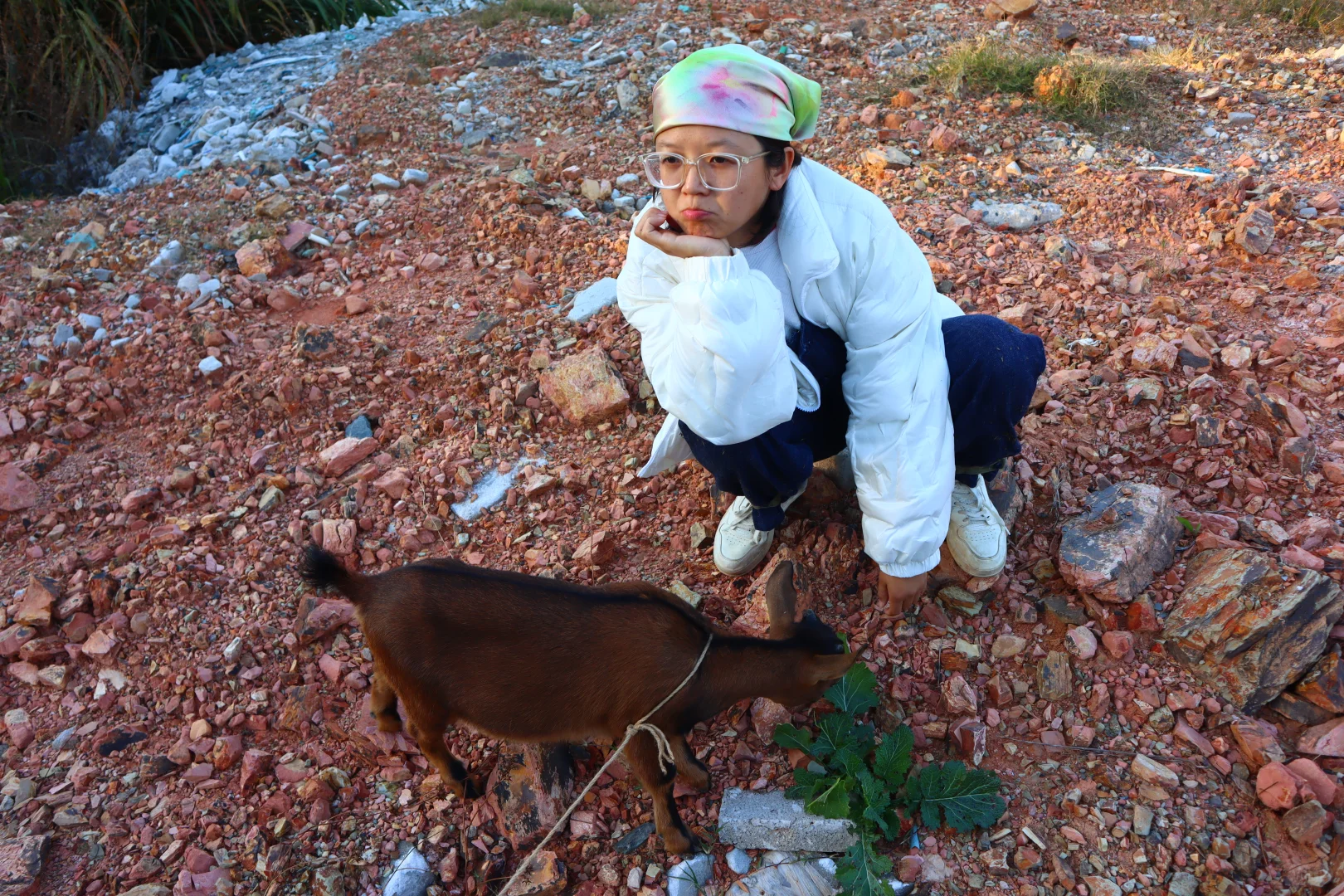 �Һ��ҵ�С����»��ڼ���