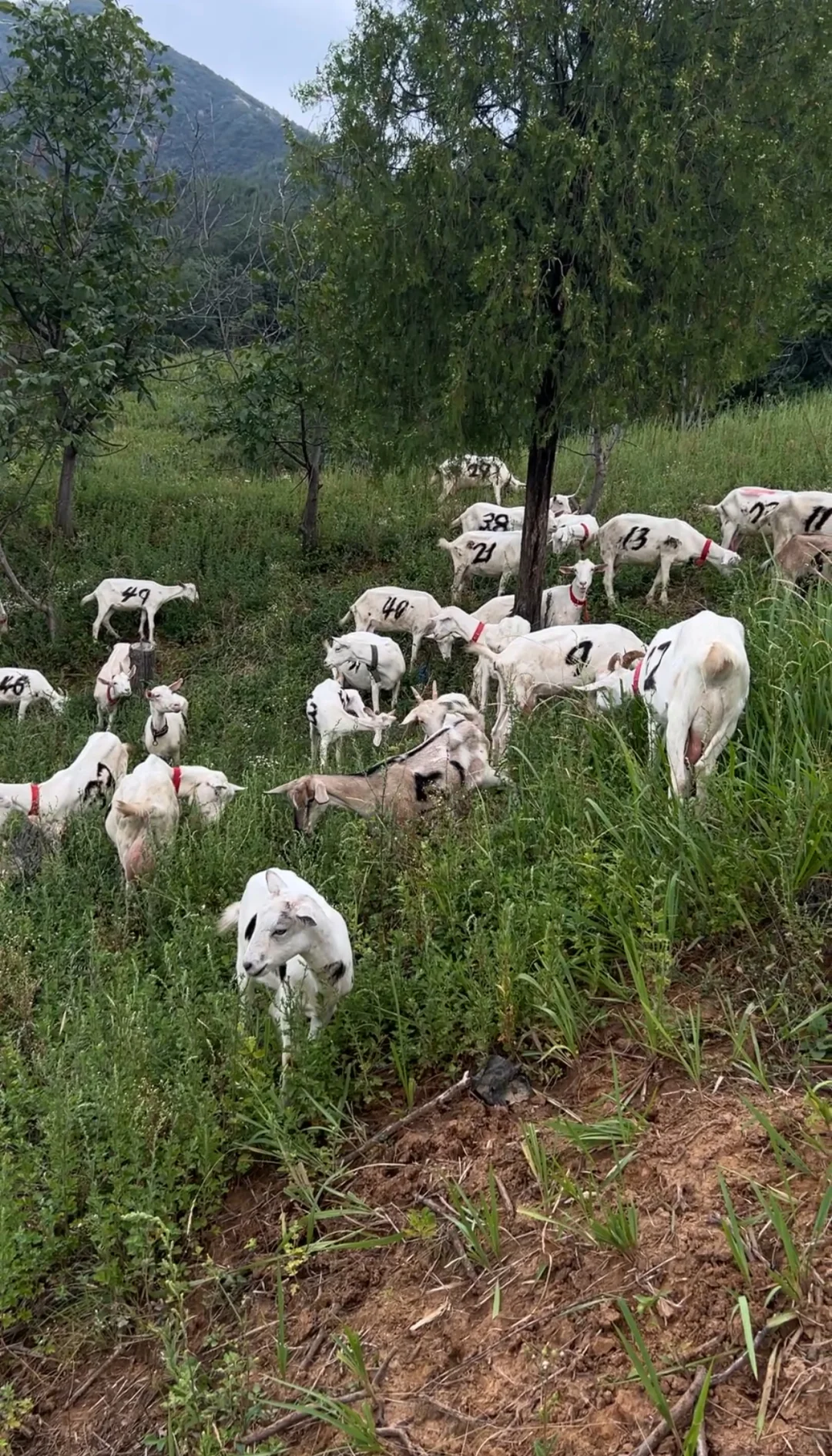 ����Ϊɶ��ô���˳��ں����̣�