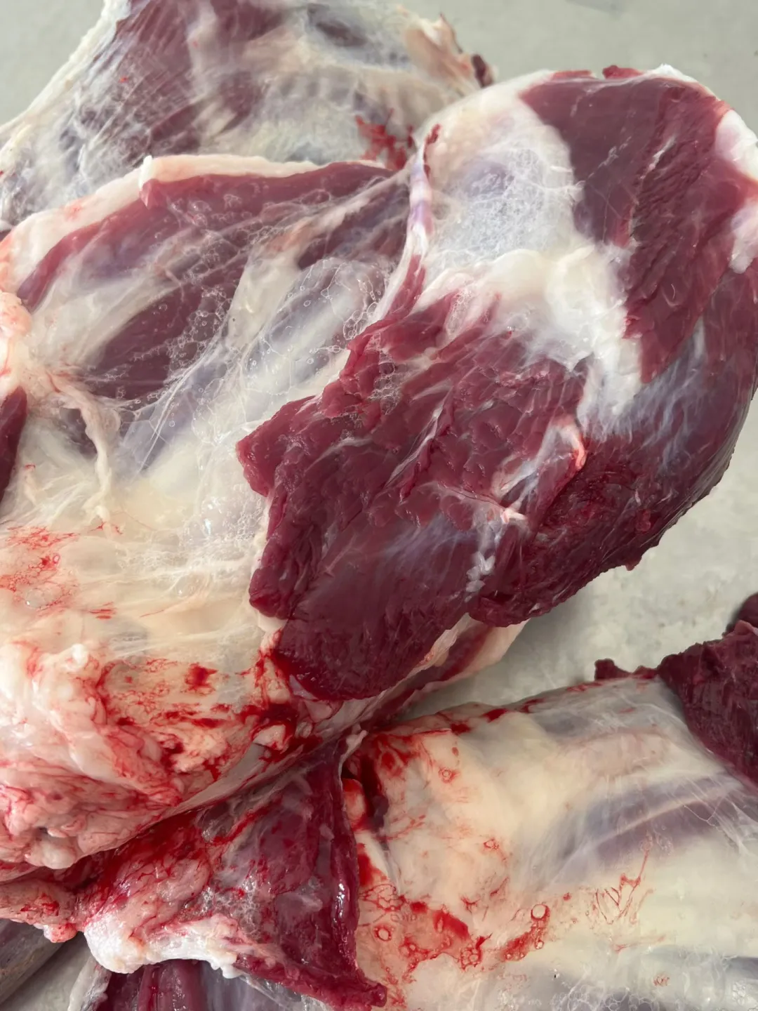 阿尔巴斯山羊!凭什么是天花板的存在!!