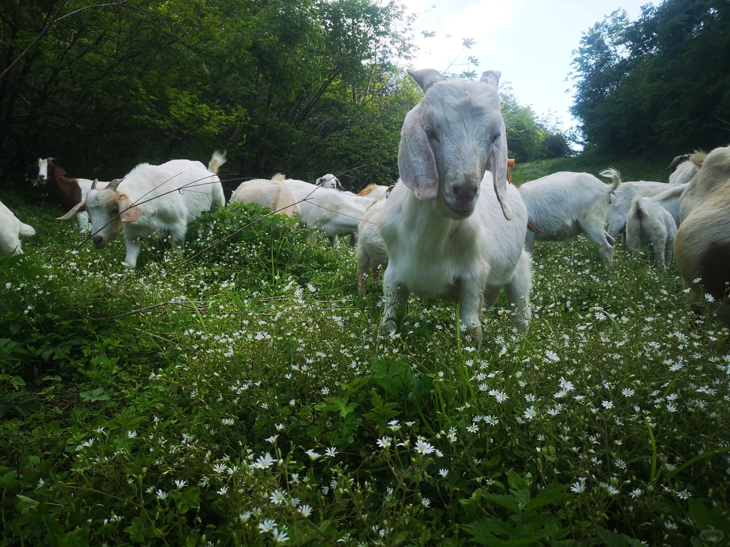 ��û����Ҫ������ɽ��ģ�ȫ�����