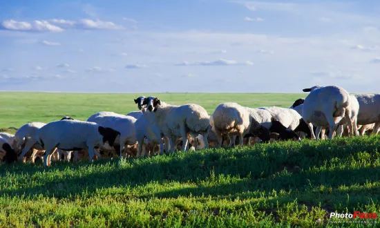 �н����ģ��Թ�����ζ������ô~8