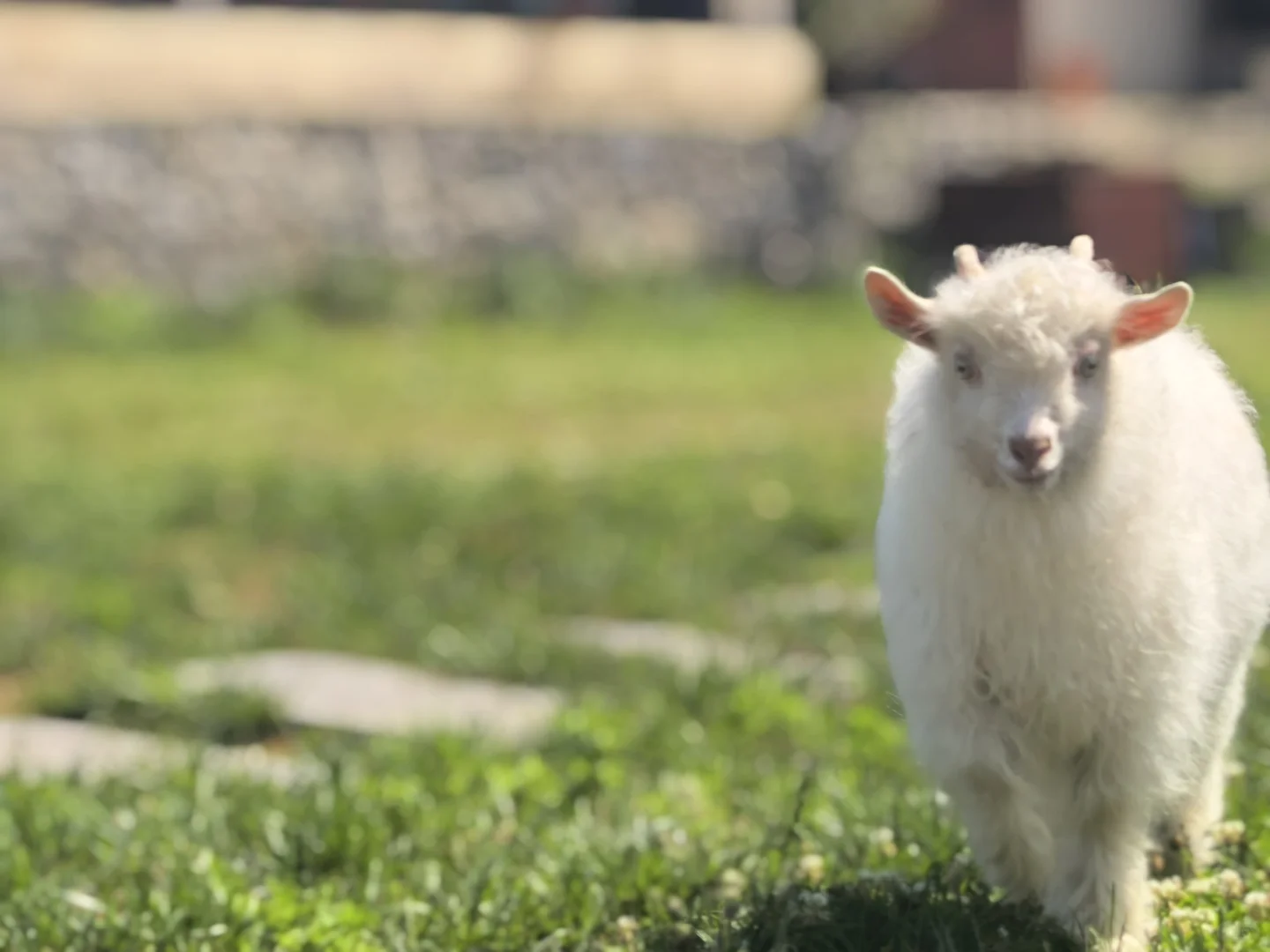 ��������Ҿ͸���