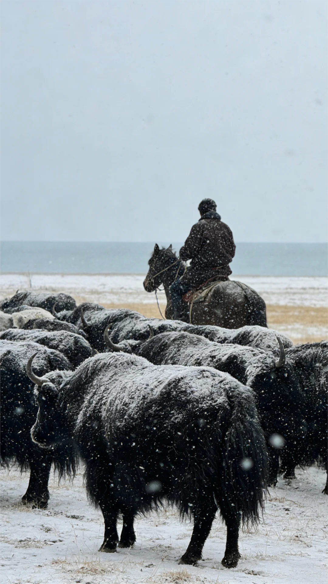 �����˴ߵ�������������桱�����쿪բ��