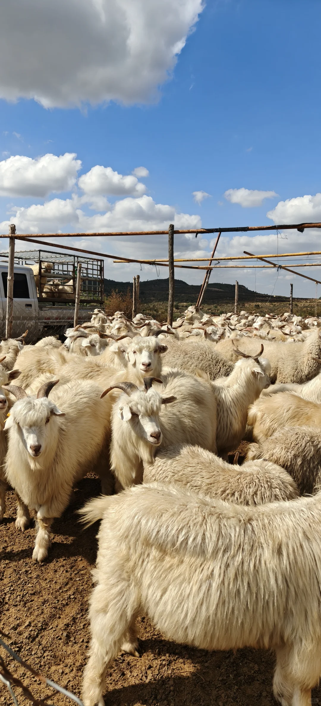 ����һ�����ֵ���ɽ��~