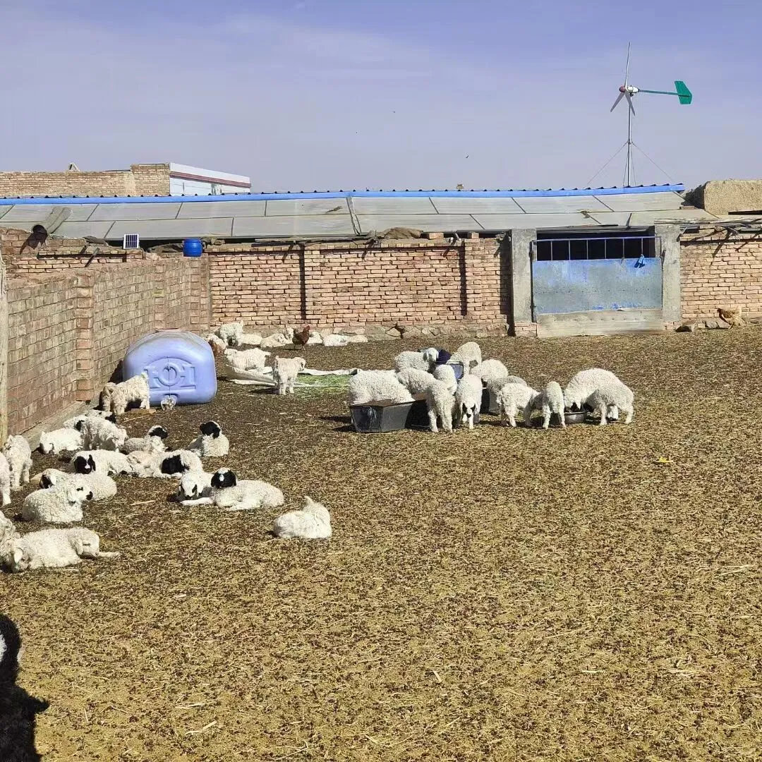 �����Ƽ�Ʒ�����