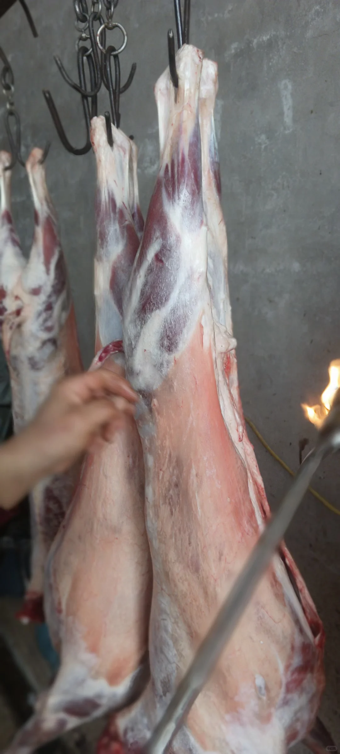 �ϰ����������⣬����˭ѽ