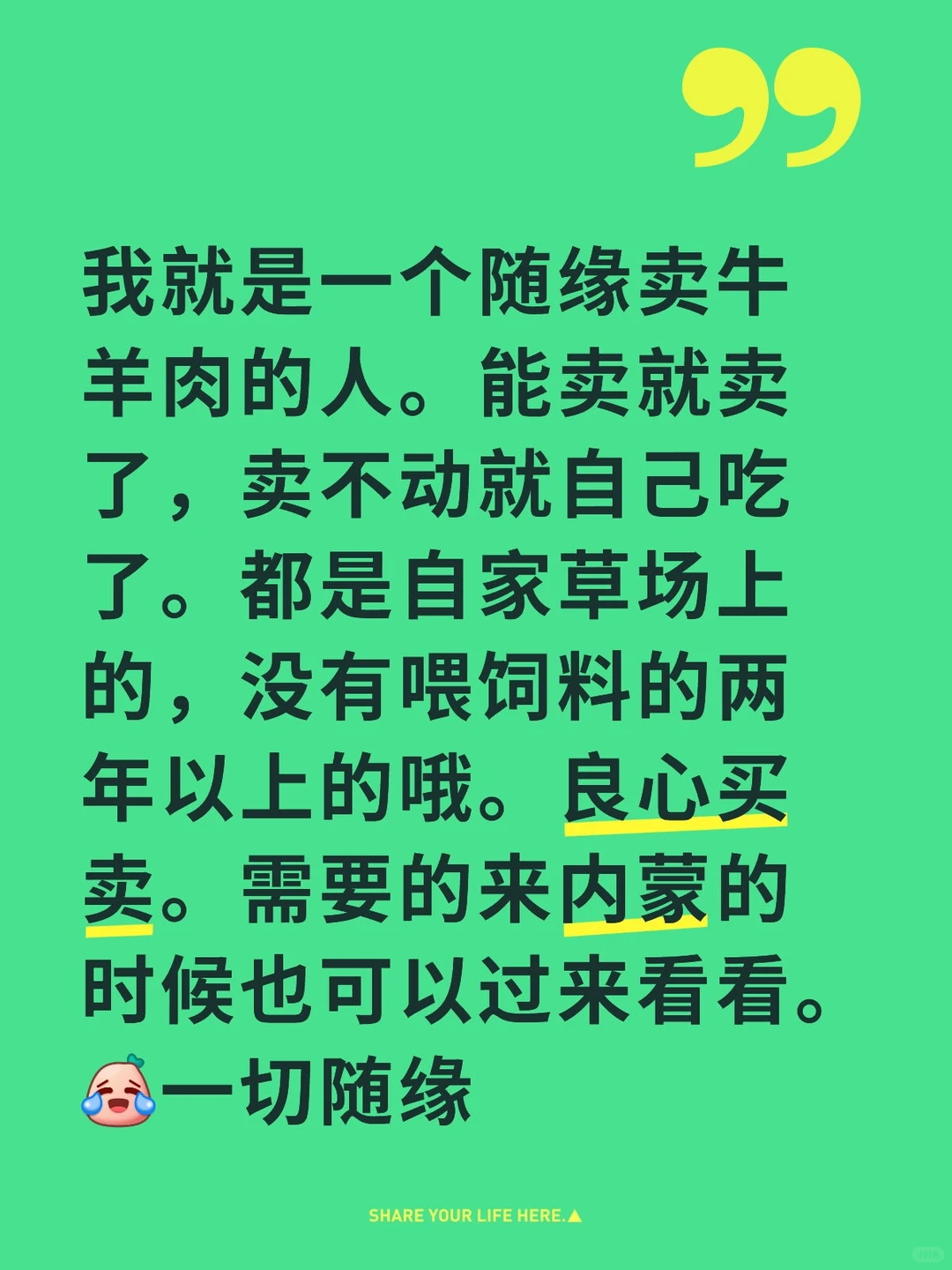 ��ϵ��ţ���⣬��Ե