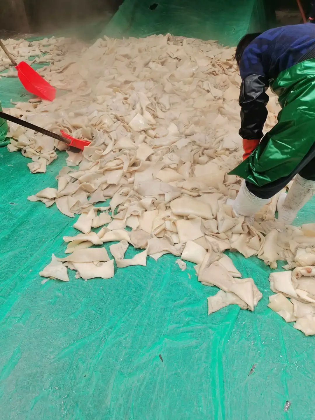 ��ʪţ��Ƥ�ɹ�