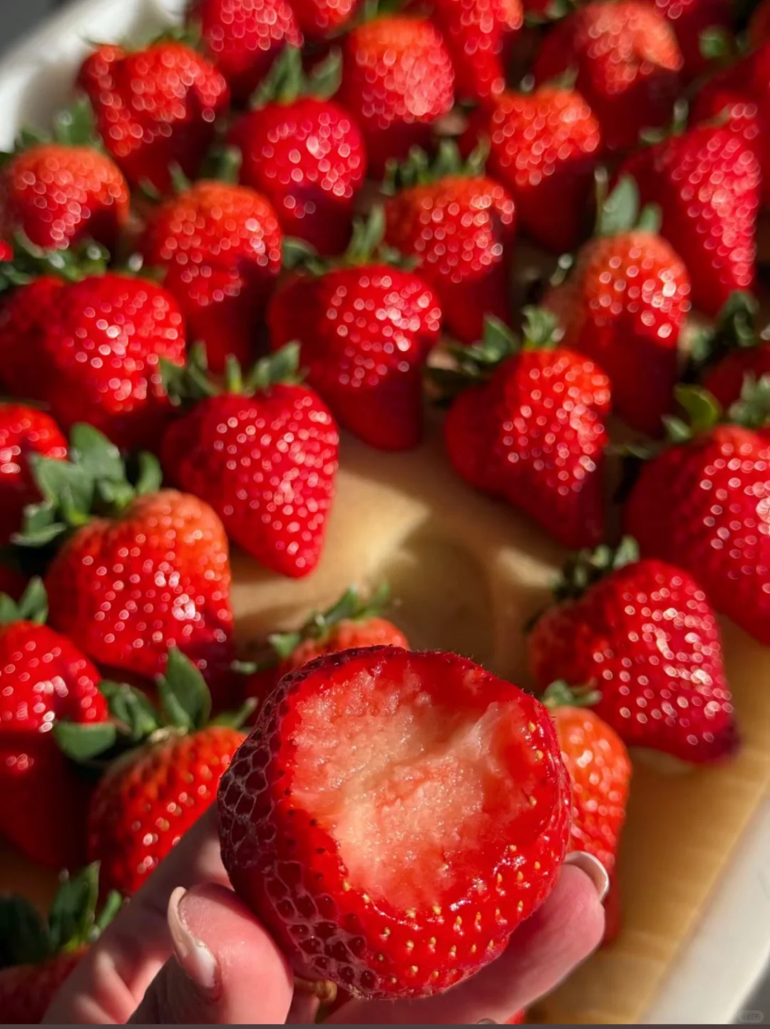 ������������֮�ó԰��ұ�������