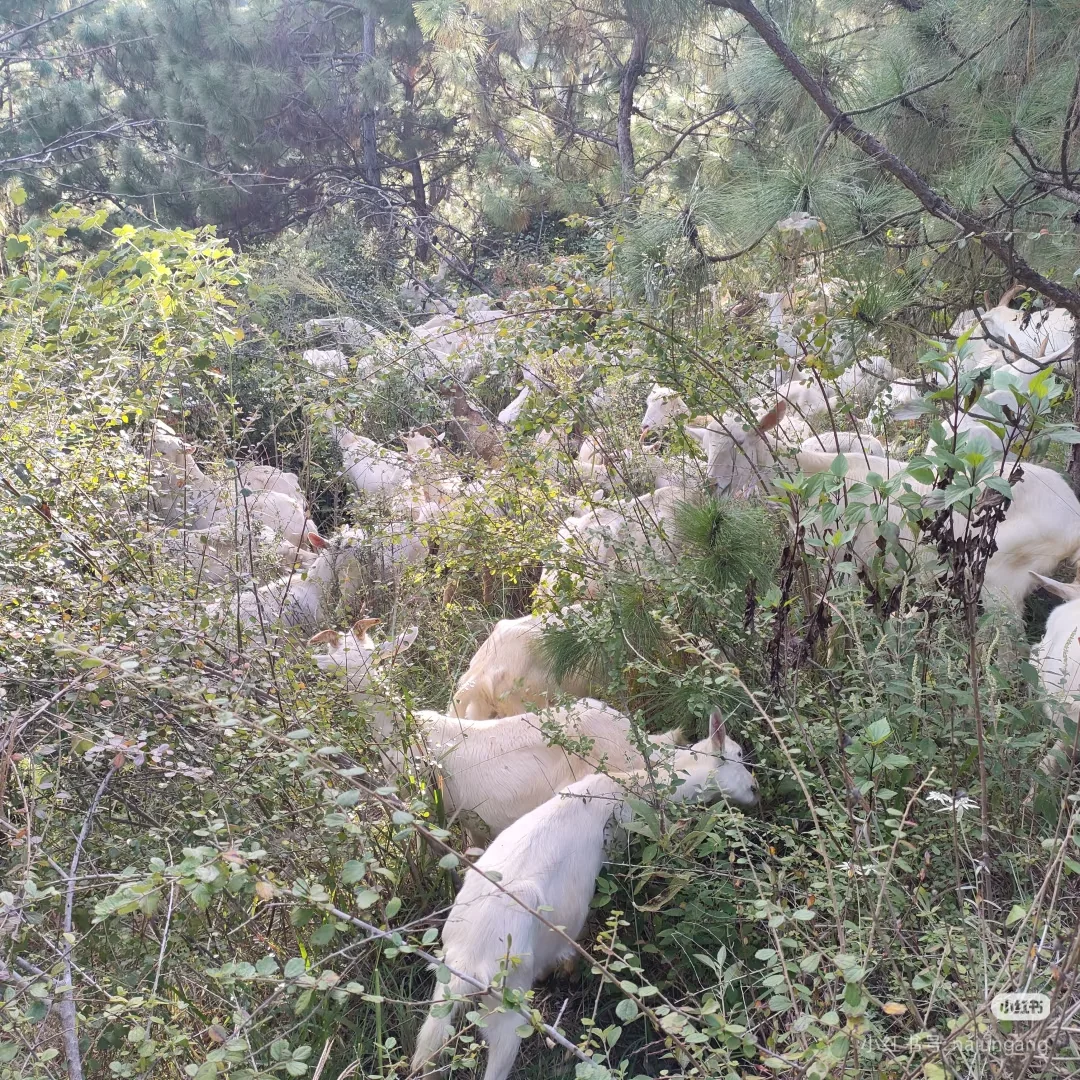 ??�ܾ�Ȧ��??�ܾ����أ�