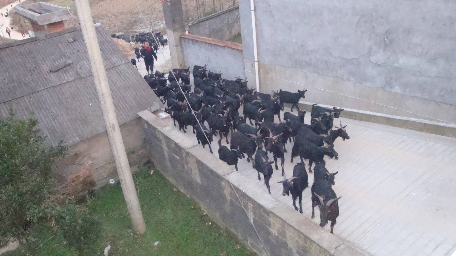 ũ��������������60��70�󣡿���ȫ������