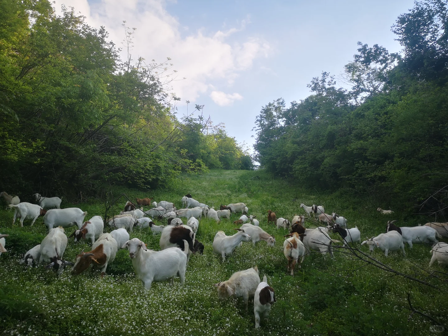 ��û����Ҫ������ɽ��ģ�ȫ�����