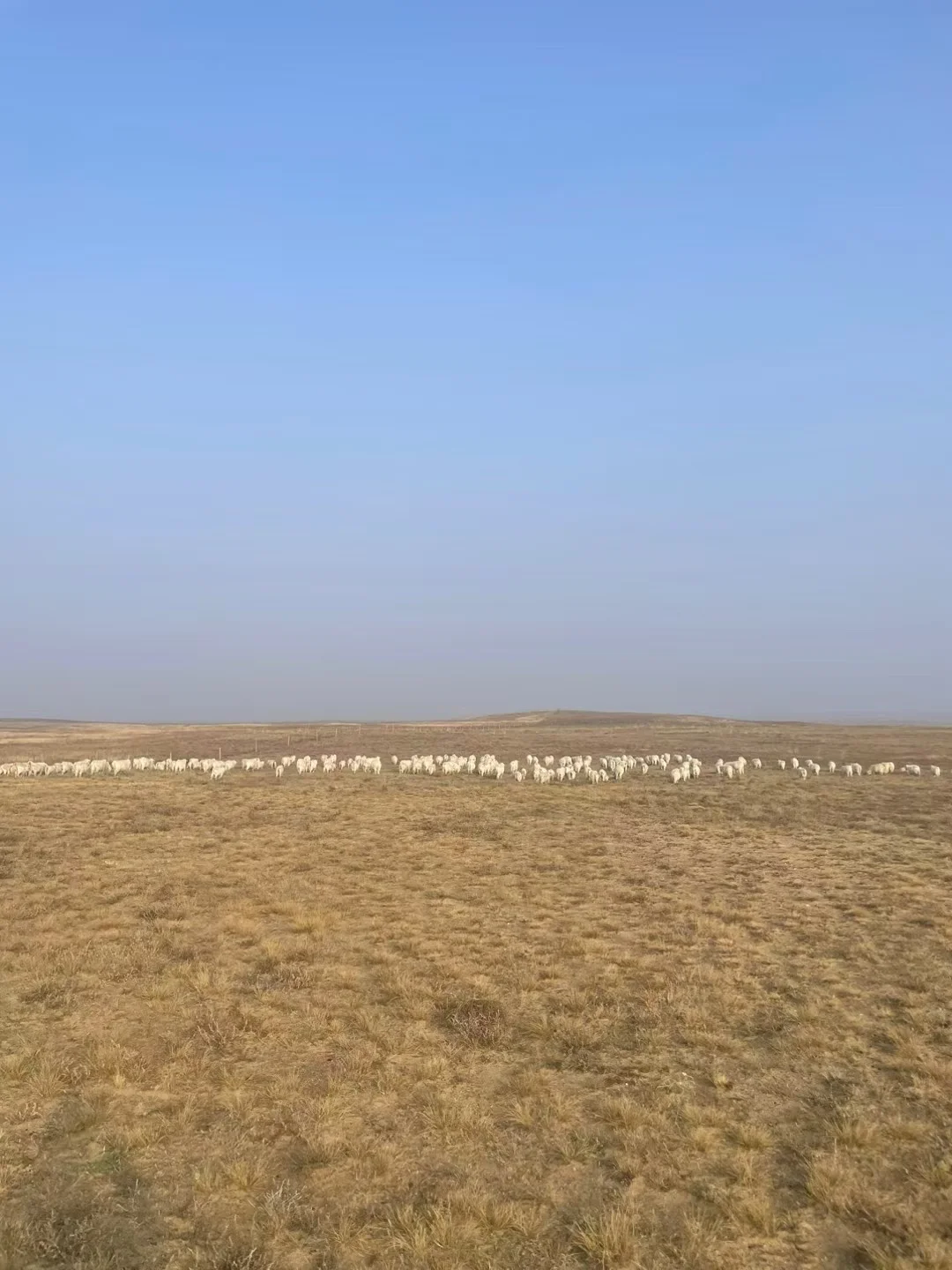 ����?������������������ȥ�ˣ������