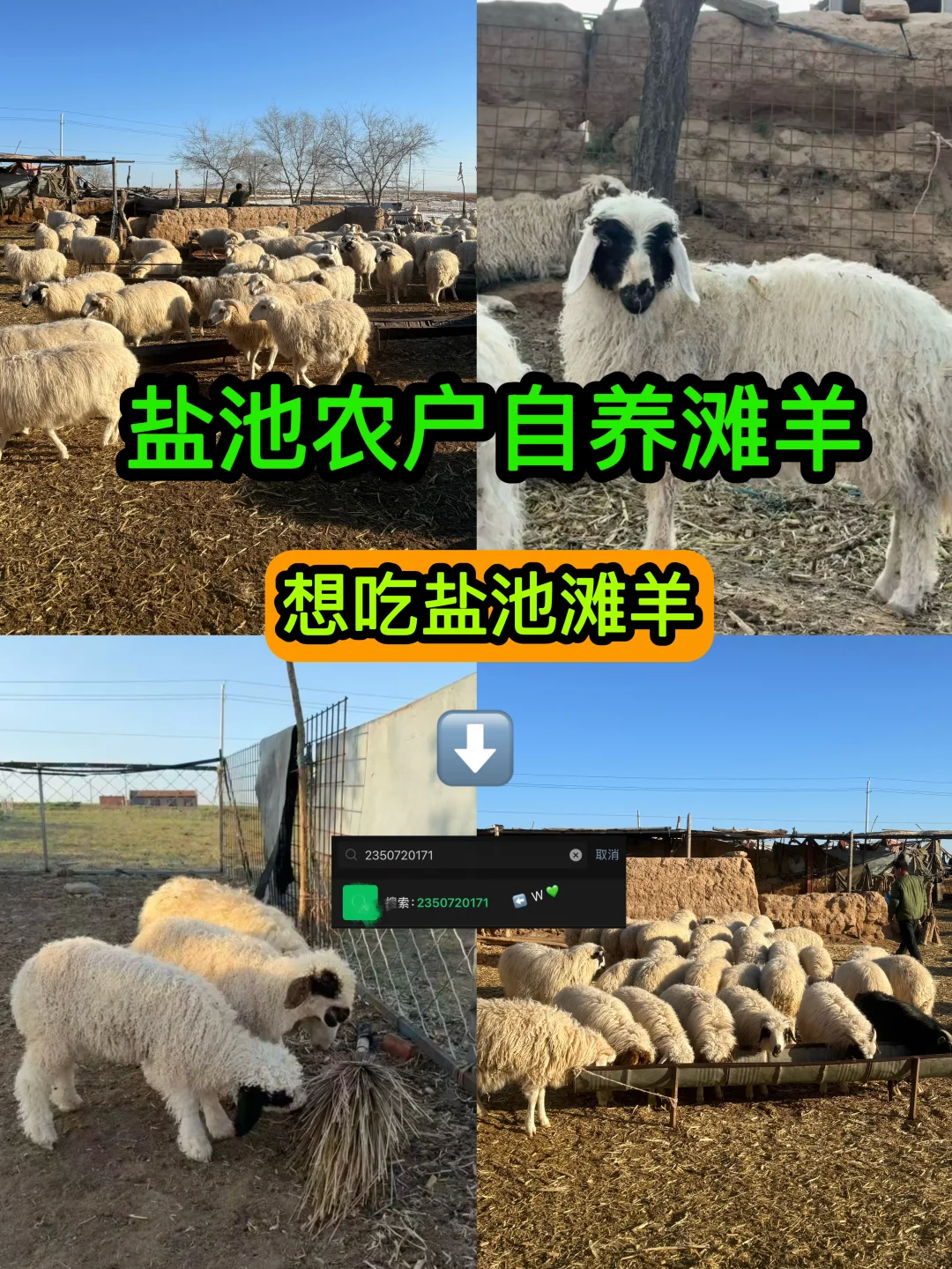 ���γر����ˣ���������˲���˵����ʵ