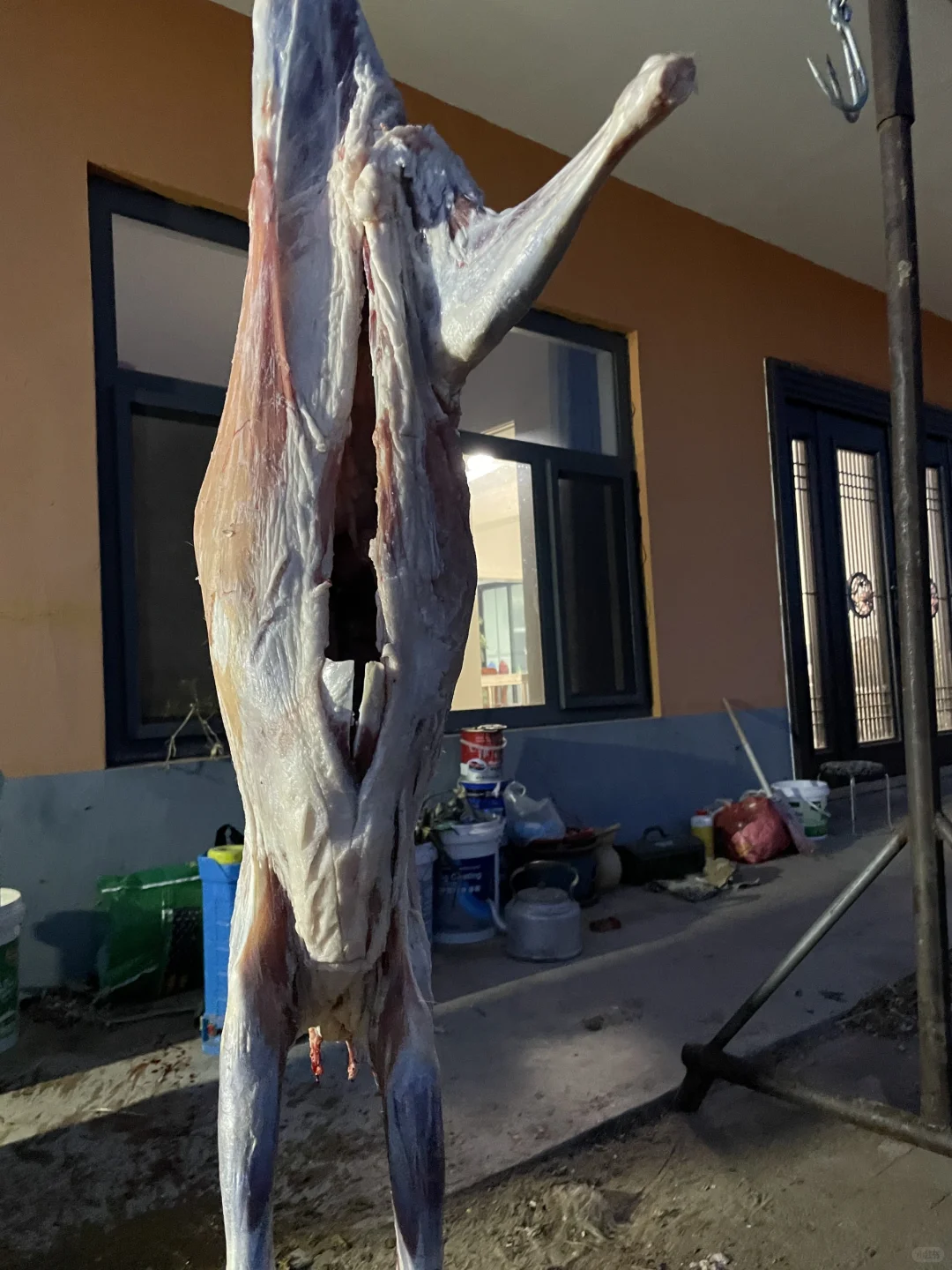 ����?������������������ȥ�ˣ������