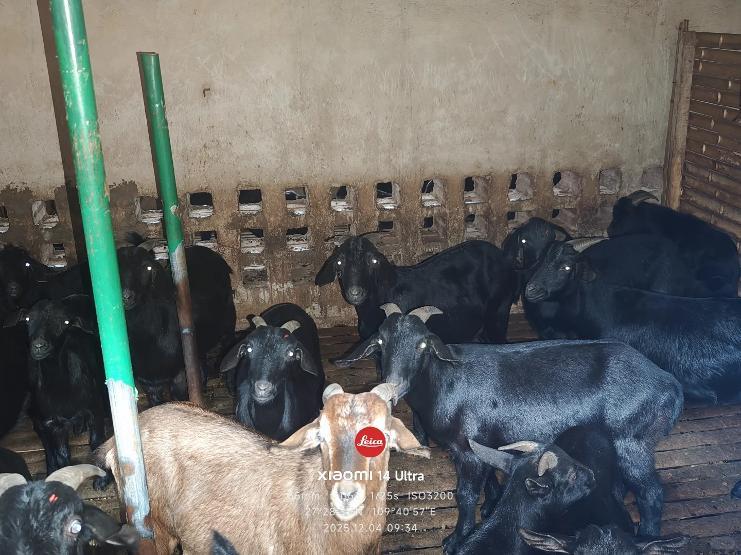 ��ɽ���⿪��