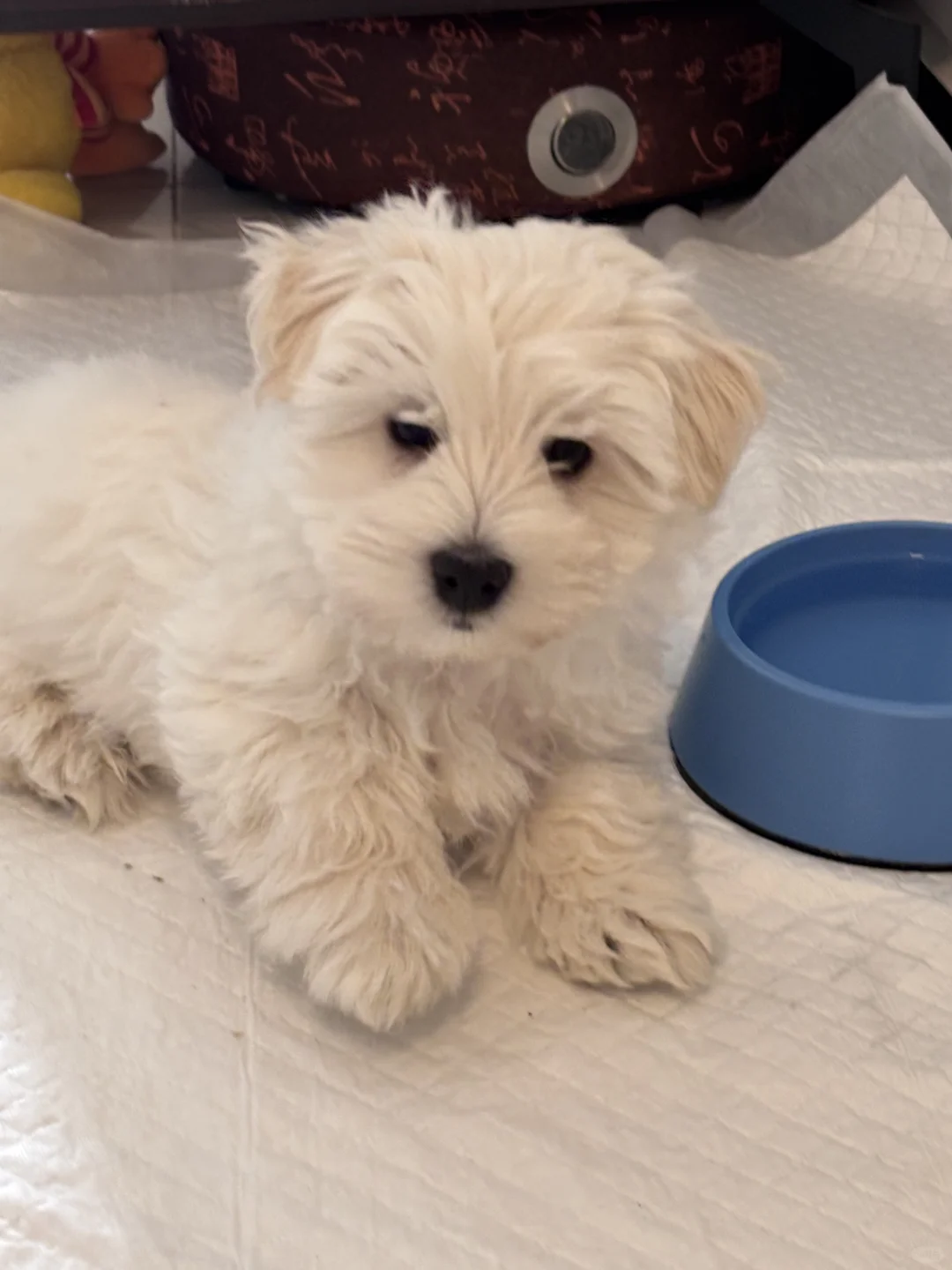 ���ߵر������¼�??