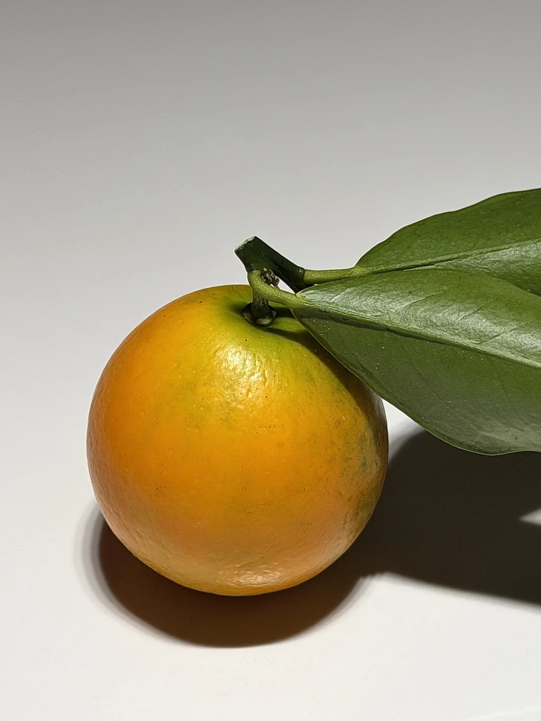 �����ڰ����۽�� �ȼ������� ������ʵ����