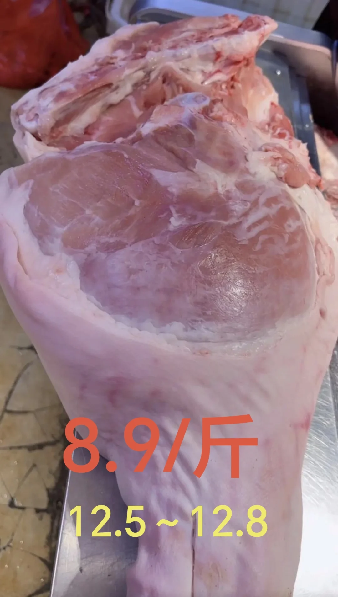 �����������8.9һ�����ֻ�ܵ�һ�꣡