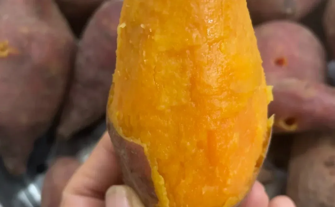 ��һͷ�����������ɱ�̫���ˣ����5200Ԫ