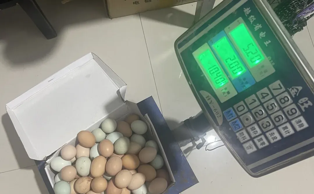 �γǼ���������������ļ��������ˡ�