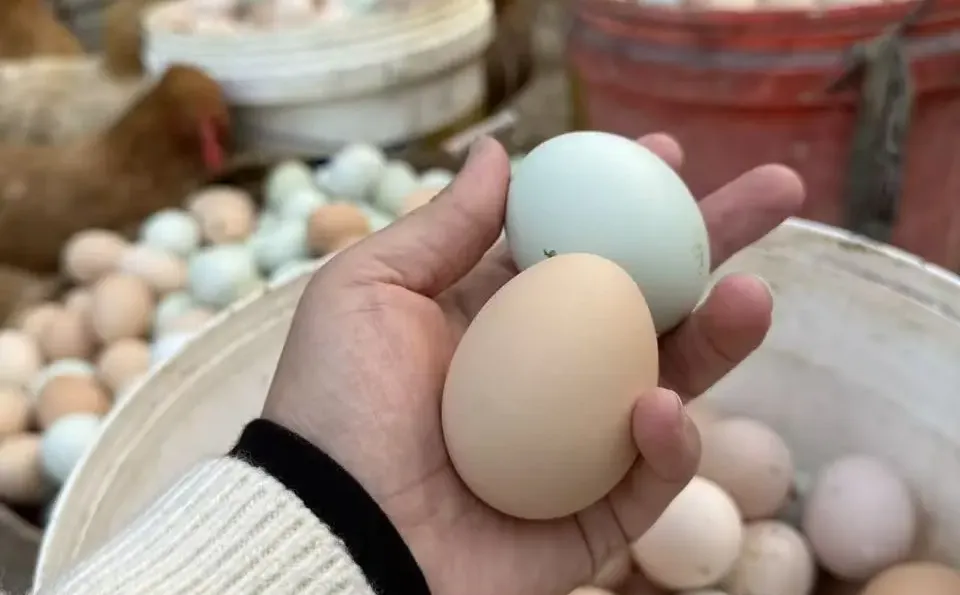 30�����ˣ�����ʵ���˼������ɣ�