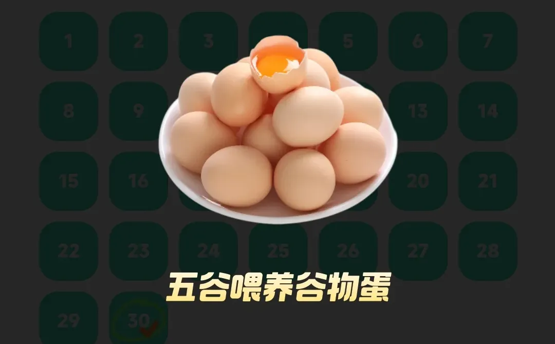 ���������Լ��ļ�������