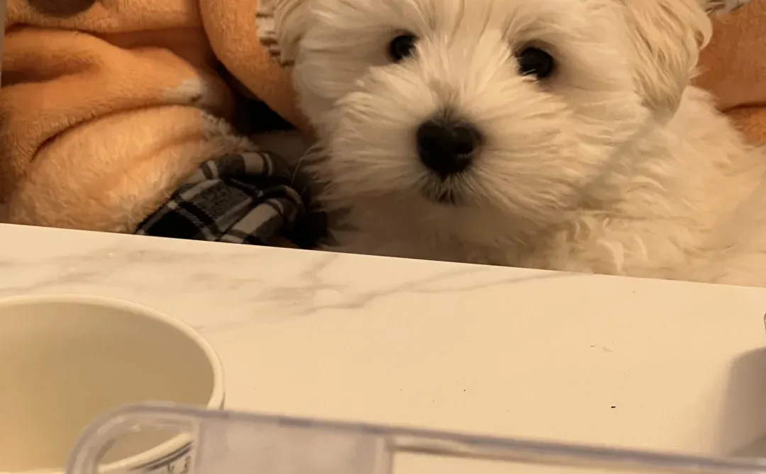 ���ߵر������¼�??