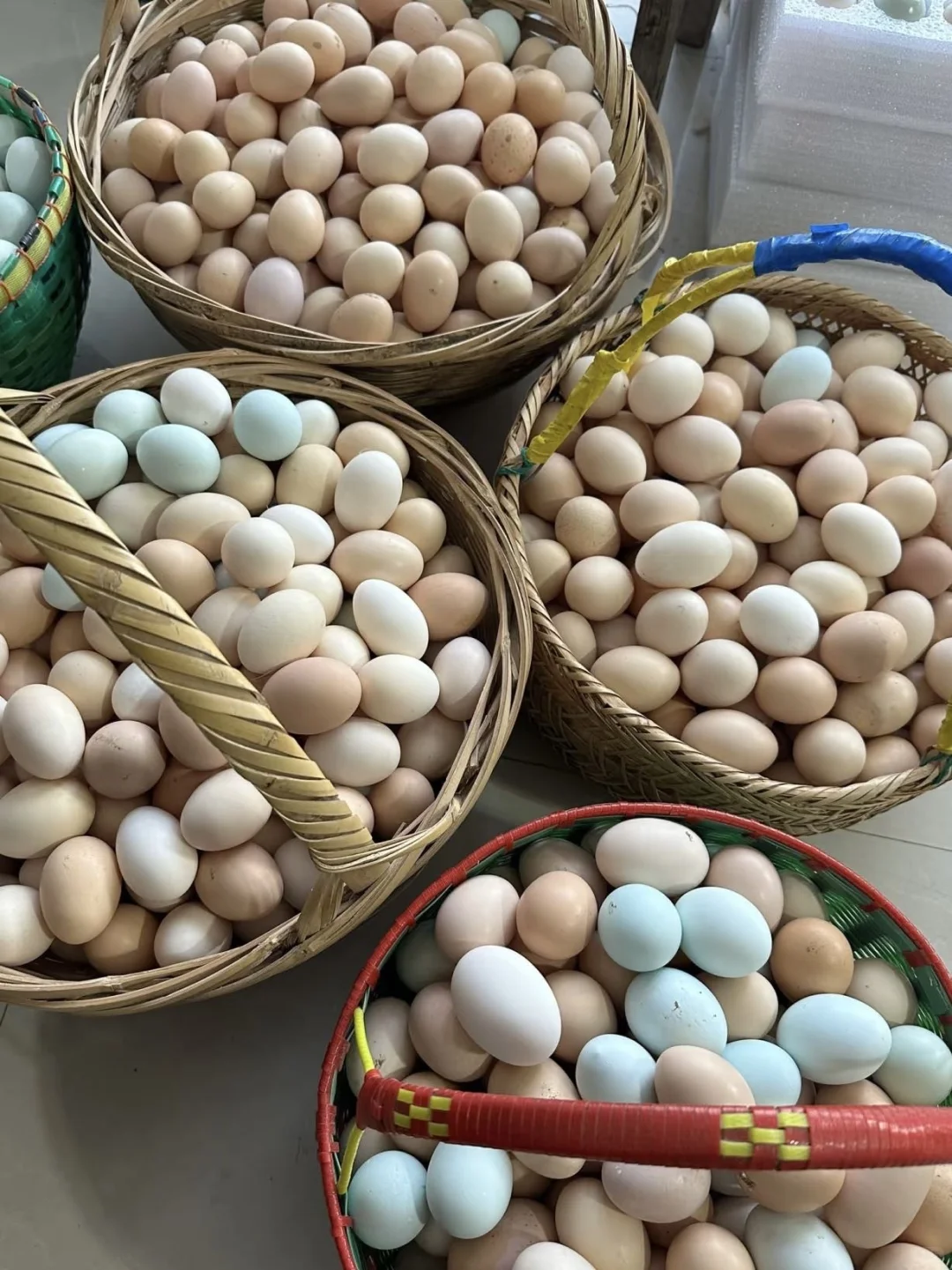 鸡蛋供货—来吧展示今天的鸡蛋