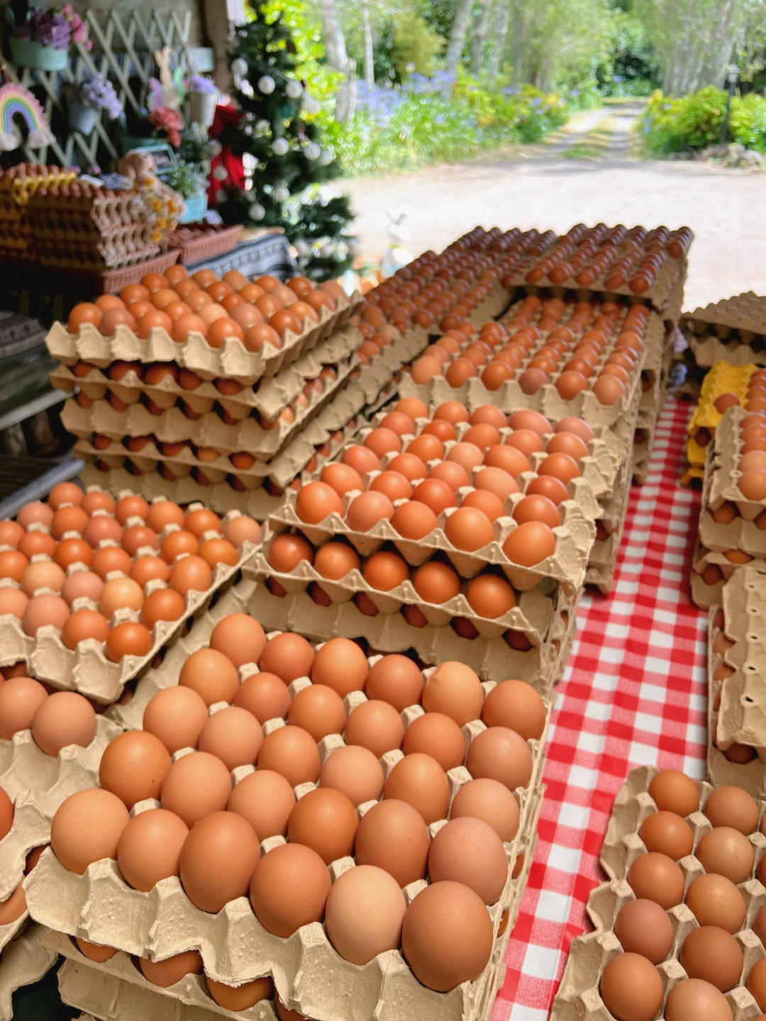 �¿���������ɢ���������Ź��ѵ�����ȡ����?