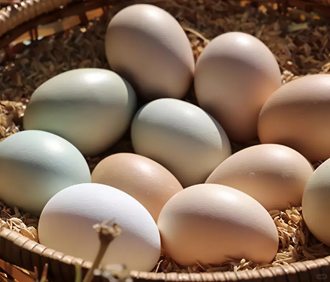 #生态农产品#土鸡蛋?