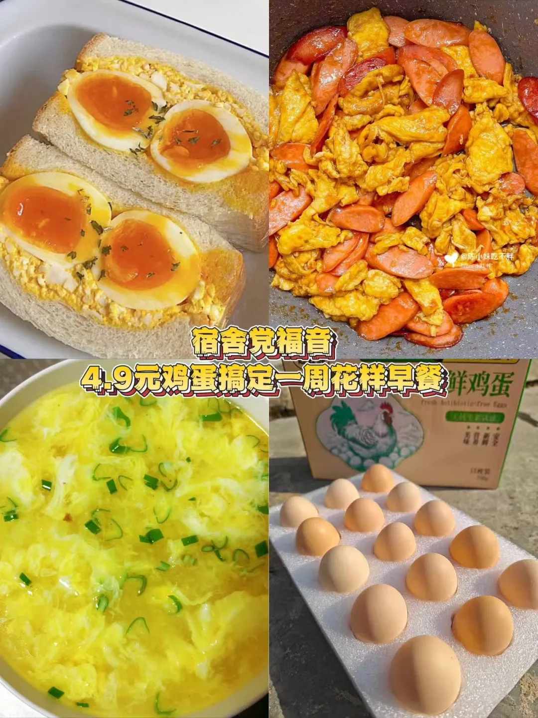 ���ᵳ������4.9Ԫ�����㶨һ�ܻ������