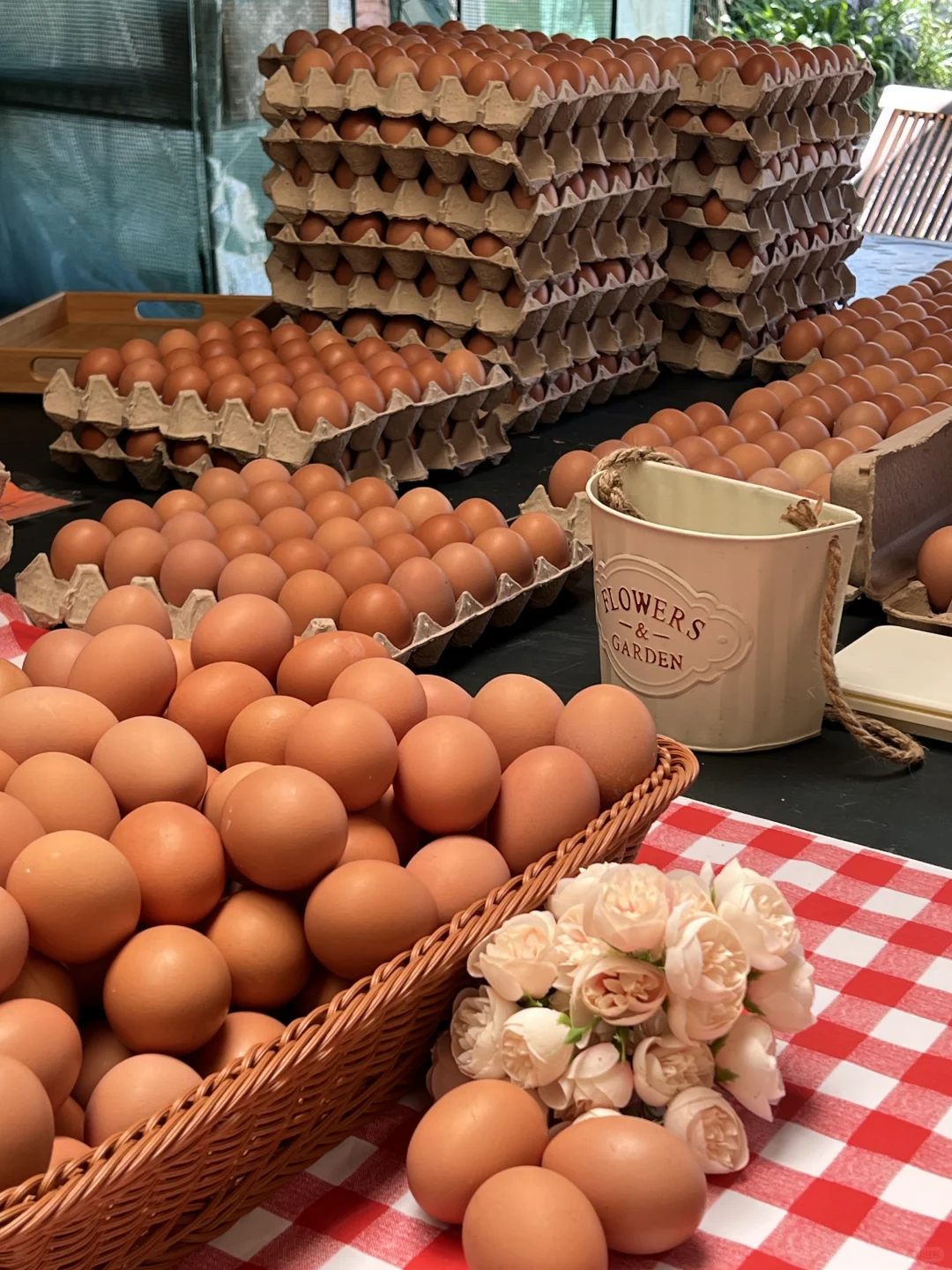 奥克兰散养草鸡蛋?比超市还便宜!12刀30个