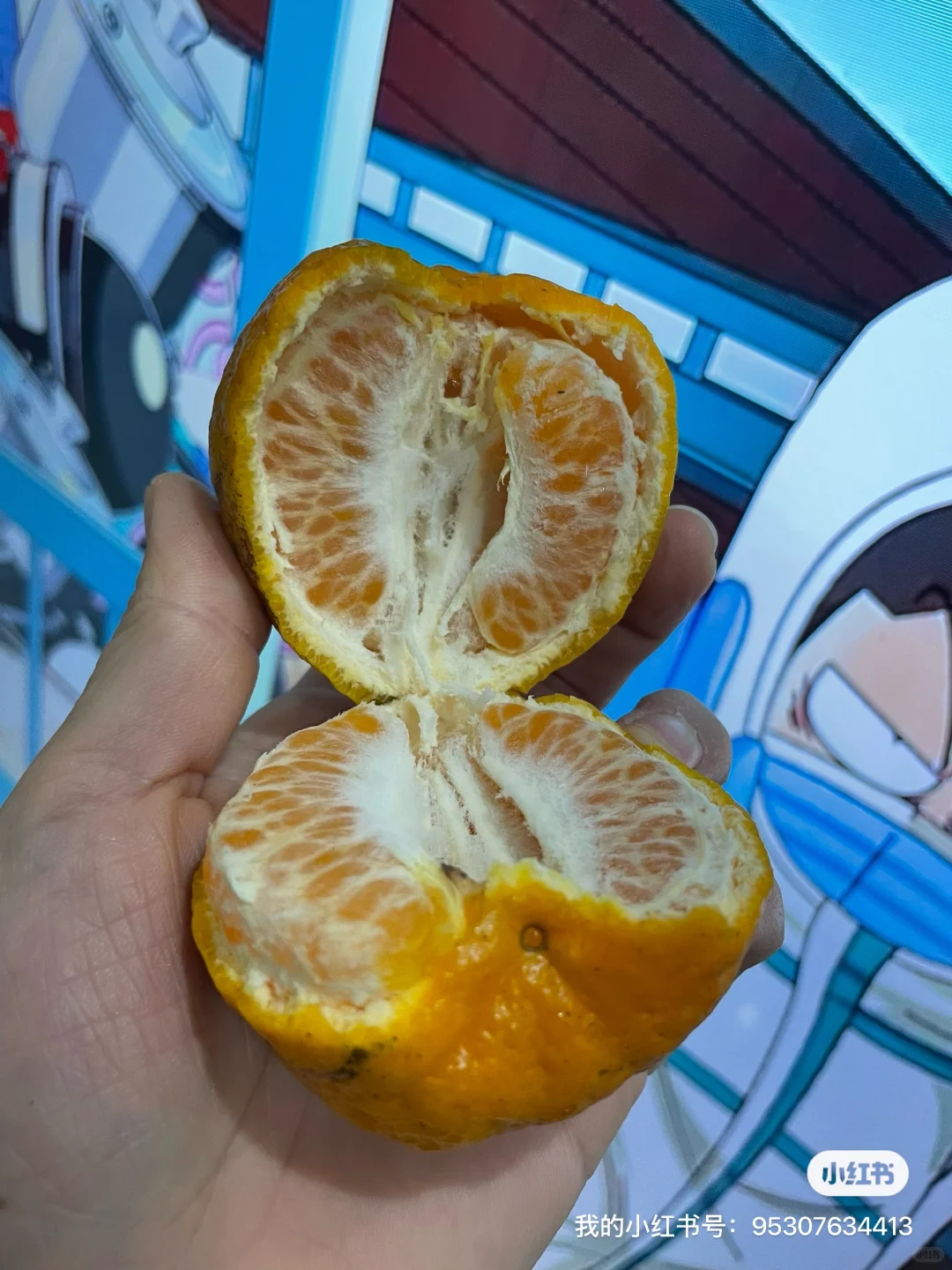 ��һͷ�����������ɱ�̫���ˣ����5200Ԫ