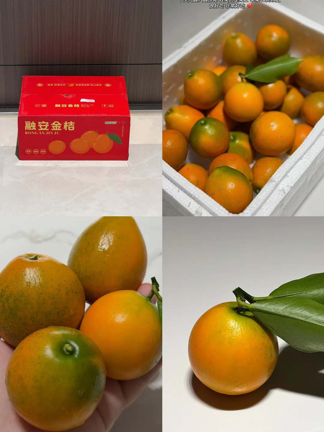 �����ڰ����۽�� �ȼ������� ������ʵ����