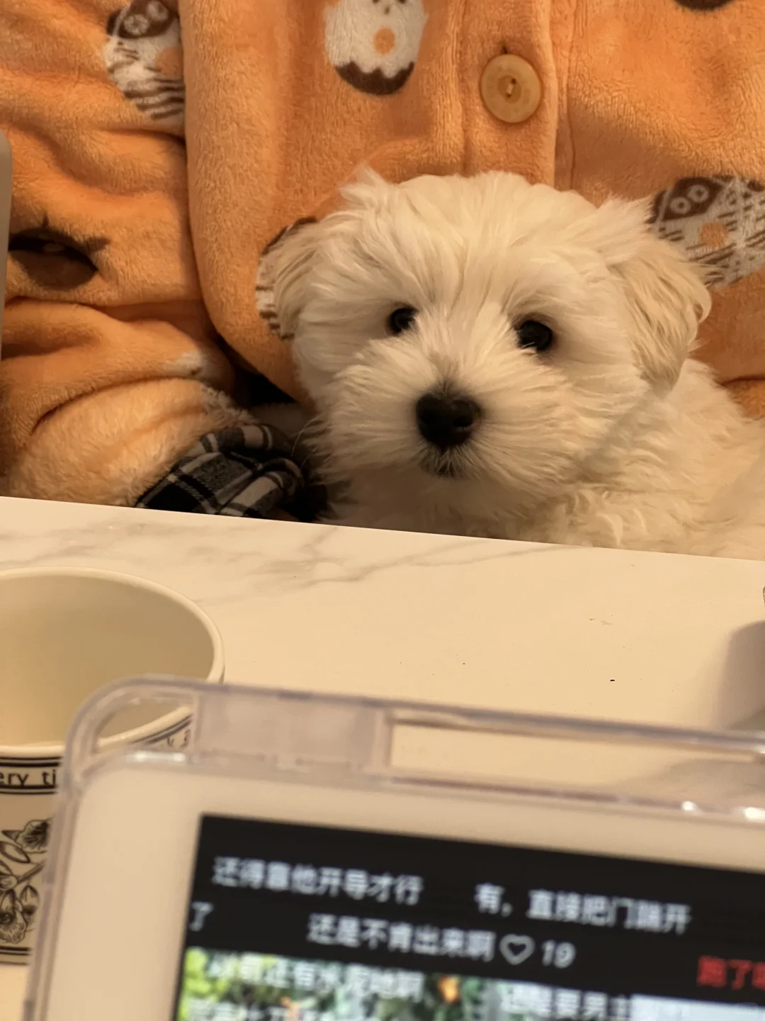 ���ߵر������¼�??