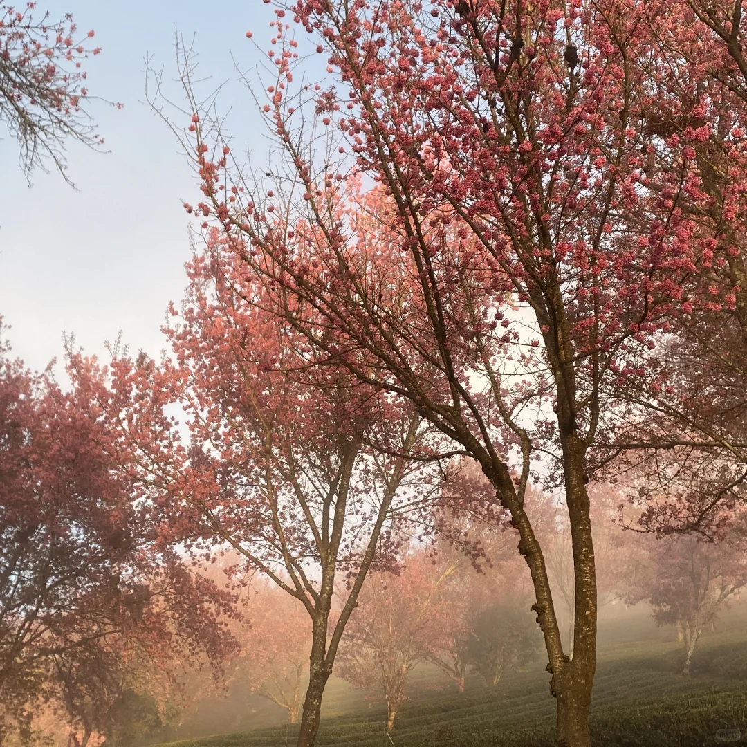 ����ֻҪ�����ϰ��Ҷ����ԣ�