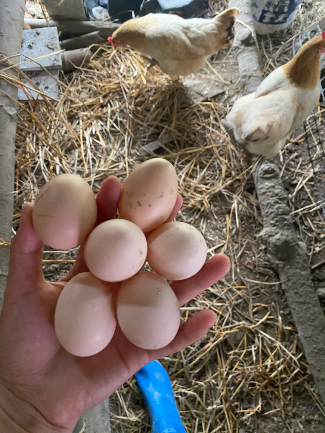 ����������������Ȥ�������